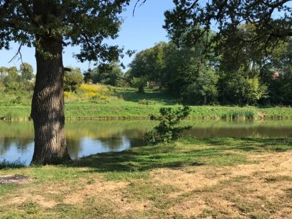 Продам земельну ділянку