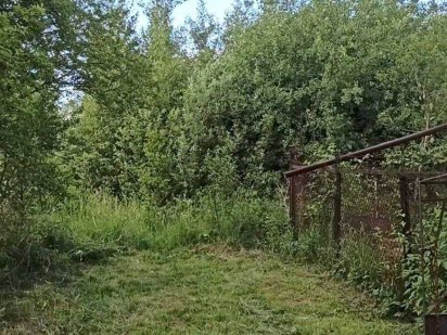 Продається земельна ділянка в с. Рясне-Руська