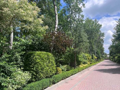 Продаж ділянки в обжитому районі с. Рясне-Руське Рясное-Русское