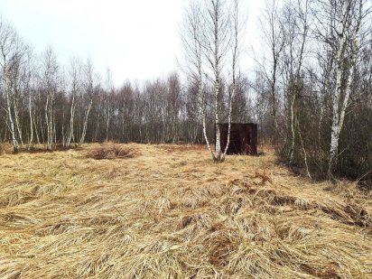 Земельна ділянка с. Рясна Руська, урочище Вишенька-2 Рясное-Русское