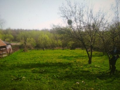 Продаж земельної ділянки Новояворівськ (Старичі)