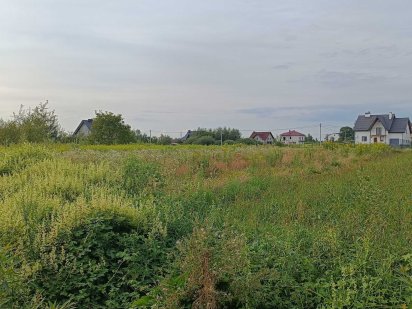 Продаж приватизована земельна ділянка Новояворовск