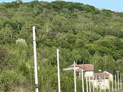 40соток землі під котеджі