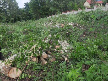 Продаж землі, 10 соток. Малехів Малехів