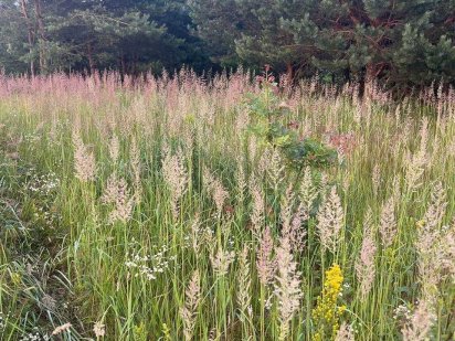 Продаж ділянки 10 сот під забуд в Малехові 5 хв до Львова