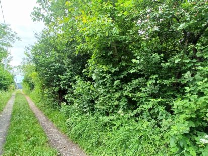 Продаж землі с. Скнилів