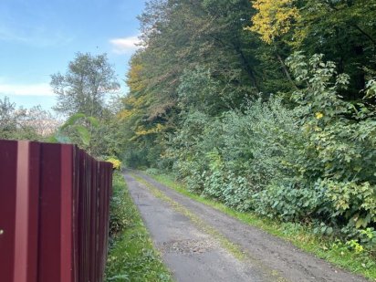 земельна ділянка Конопниця,Львівська область Конопница