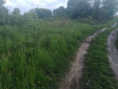 Продам земельну ділянку в с. Конопниця Конопница