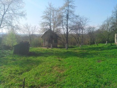 Земельна ділянка. Будинок. Дача Стебник