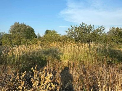 земельна ділянка 7,22 сот. м. Жовква Жолква