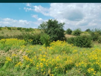 Земля під садівницство Жолква