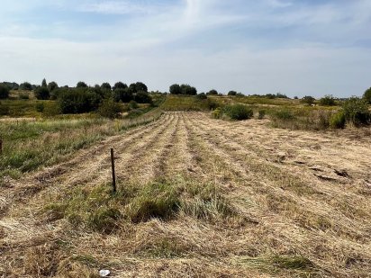 Земля 20 с. у Давидові під будівництво. Власник ! Давидів