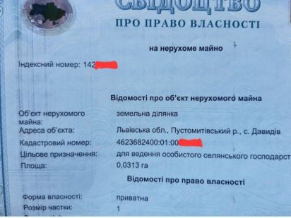 Земельна ділянка Давидів Давидів