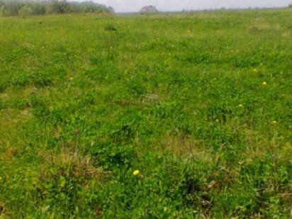 Участок земельный 