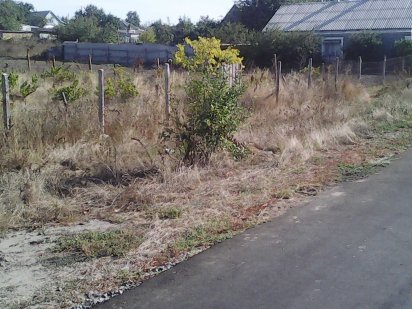 Продам в КОБЛЕВО  участок  под застройку Коблево