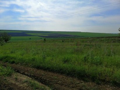 Недорого продам сельскохозяйственное предприятие в Одесской области. 