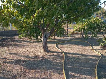 Продам дачну ділянку Зайчевское