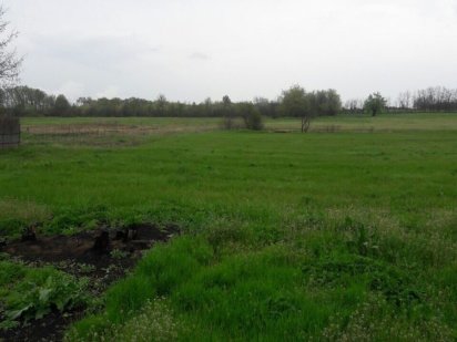 SALE Продам земельну ділянку Криве Озеро