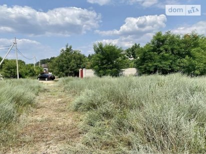 Участок в сосновом лесу (Баловное/Матвеевка/Николаев) Баловне
