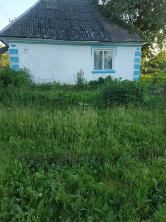 Продам будинок в смт Козлів. (Козівський р-н.,25км.від Тернополя.). - фото 1