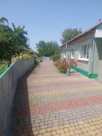 Продам будинок в Летичеві - фото 1