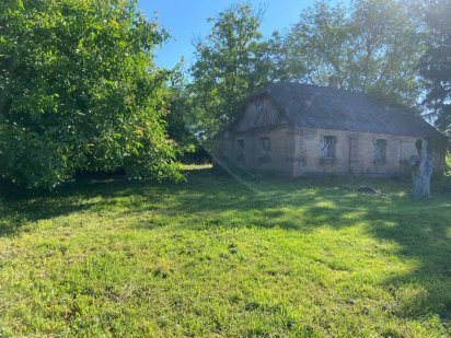 Терміново! Продам ділянку у Гришківцях (Житомирська область) Ліски