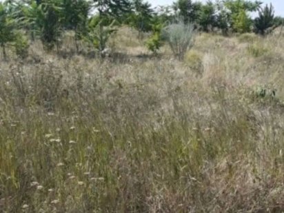 Срочно продам участок Великодолинське