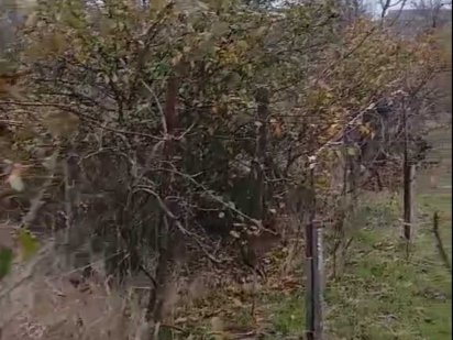 СОГ Волна продам доглянуту ділянку 6 сот