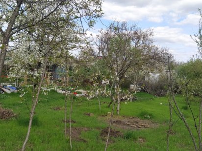 Продам участок с.Светлое, новые дачи,  СТ 'Свитанок" Светлое