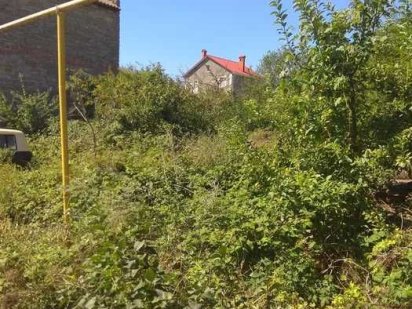 (13) Продам земельну ділянку в СК "Механізатор"