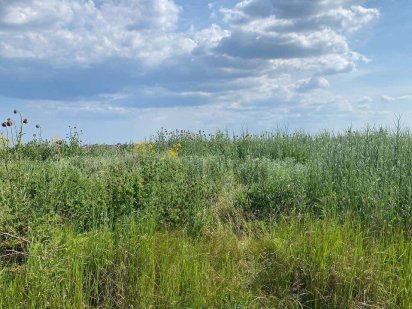 Участок 12 соток в Сухом Лимане Сухий Лиман