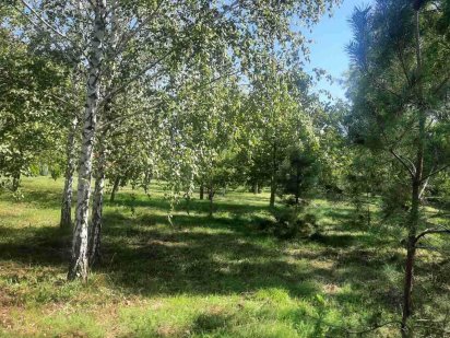 Продаётся участок 15 соток в Сухом лимане