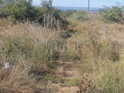 Продаж землі с.Миколаївка