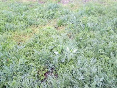 Фасад на трассу.Продажа обмен земельный пай 4.62 га