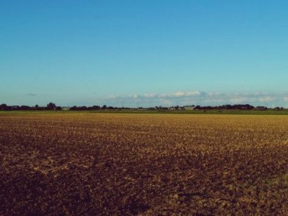 Продам пай ТТГ. Овидиополь Овидиополь