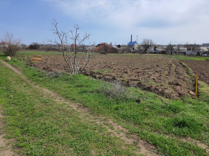 Продаётся участок в с. Бурлача Балка(ул. Виноградная) - фото 1