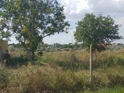 Участок в Корсунцах недалеко от лимана Корсунцы