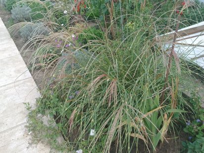 Продается участок с/о Ветеран