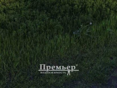 Пропонується до вашої уваги ділянка в населеному пункті с. Молодіжне