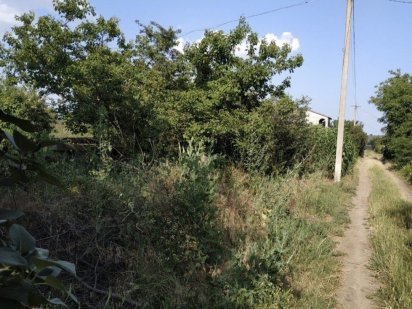 Продам свой участок в дачном Ново-Дофиновском массиве Новая Дофиновка