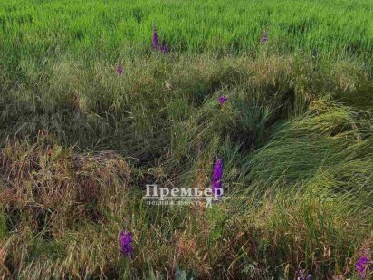 До продажу ділянка площею 10 соток, правильної форми у с.Молодіжне Молодежное