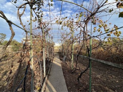 Продам земельный учачток Нова Дофінівка