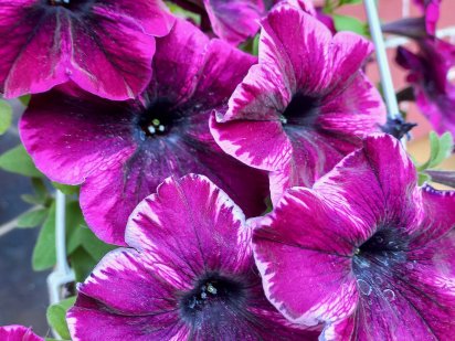 Участок за городом