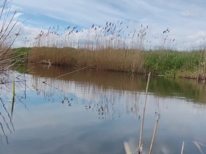 Продам участки с выходом в реку в Беляевке Беляевка