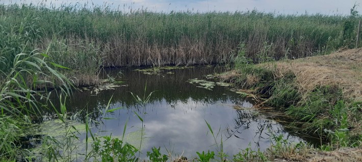 Продам участок с выходом в реку . - фото 1