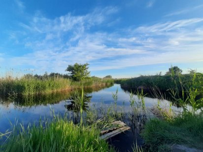 Участок в Беляевке Одесская обл с прямым выходом в реку