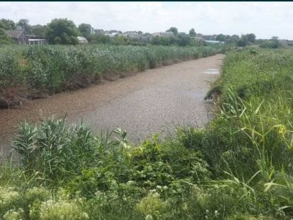 Ділянка 22 сот на березі ставка для любителів рибалки та тиші ! Великий Дальник