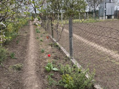 Участок в Авангард-2