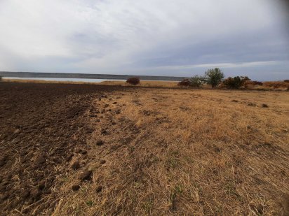 Ділянка 6.36 га, цільове -01.01. "товарне с\г ". c. Красносілка. Красноселка