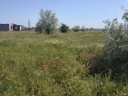 Продам участок ул.Радужная, с.Красноселка Красноселка